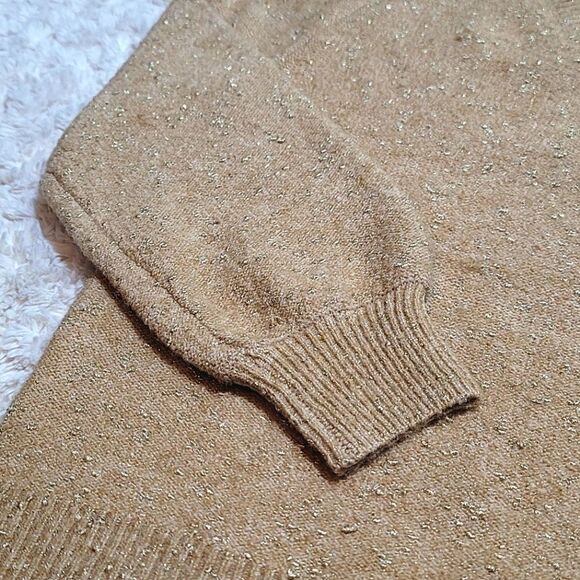 LOFT Tan & Gold Glitter Metallic Flecked V- Neck Ribbed Sweater - Picture 4 of 8